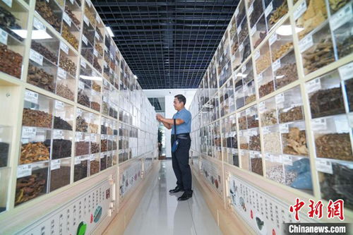 長(zhǎng)治多舉措引智引技激活高質(zhì)量發(fā)展 一池春水