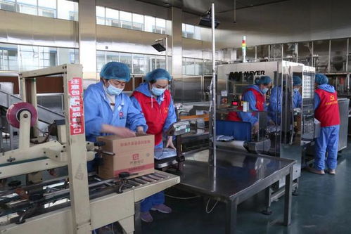 復(fù)工復(fù)產(chǎn)進(jìn)行時(shí)丨將一顆冬棗 吃干榨凈 串起鏈條助力產(chǎn)業(yè)提質(zhì)加速